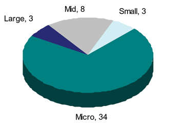 2008 Mergers / Acquistions by Size 2008 Mergers / Acquisitions by Size